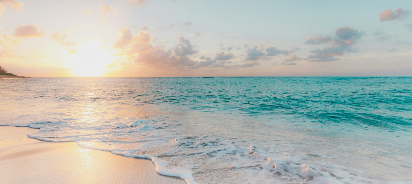located in saadiyat island